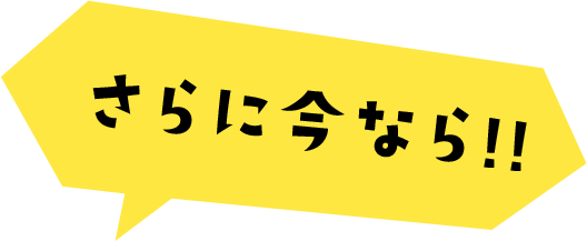 さらに今なら!!