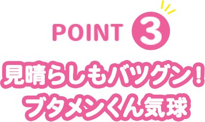 POINT3 見晴らしもバツグン！ ブタメンくん気球